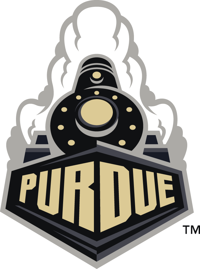 Purdue Boilermakers 2012-Pres Alternate Logo v2 iron on transfers for fabric